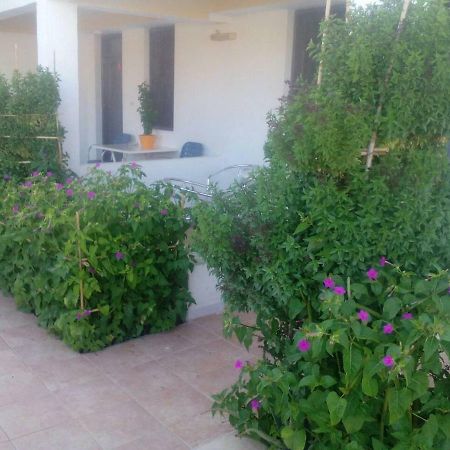 Villas Irene 5 Family Apartments Kokkini Hani Eksteriør billede