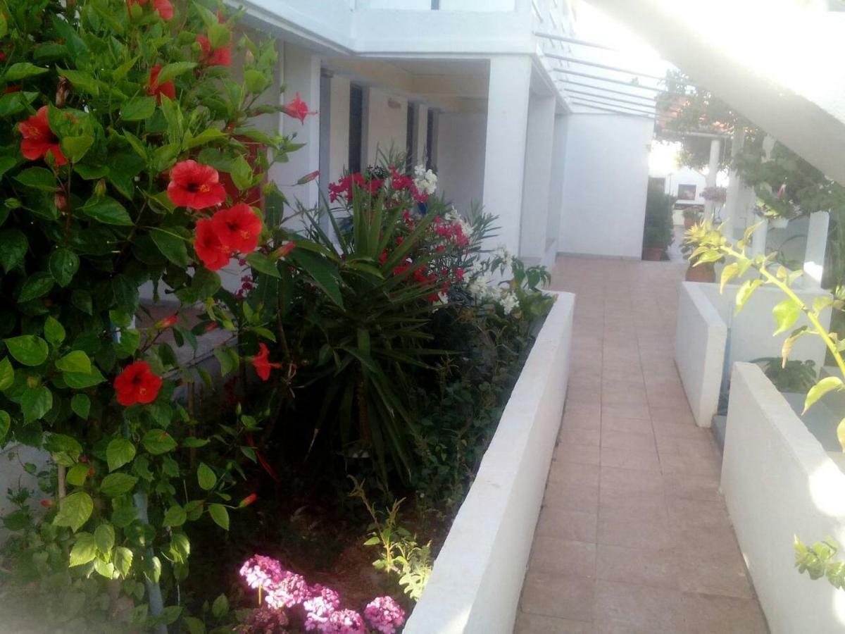 Villas Irene 5 Family Apartments Kokkini Hani Eksteriør billede